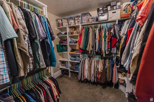 743 N 1100 E, Nephi, UT 84648 - spacious closet with carpet floors