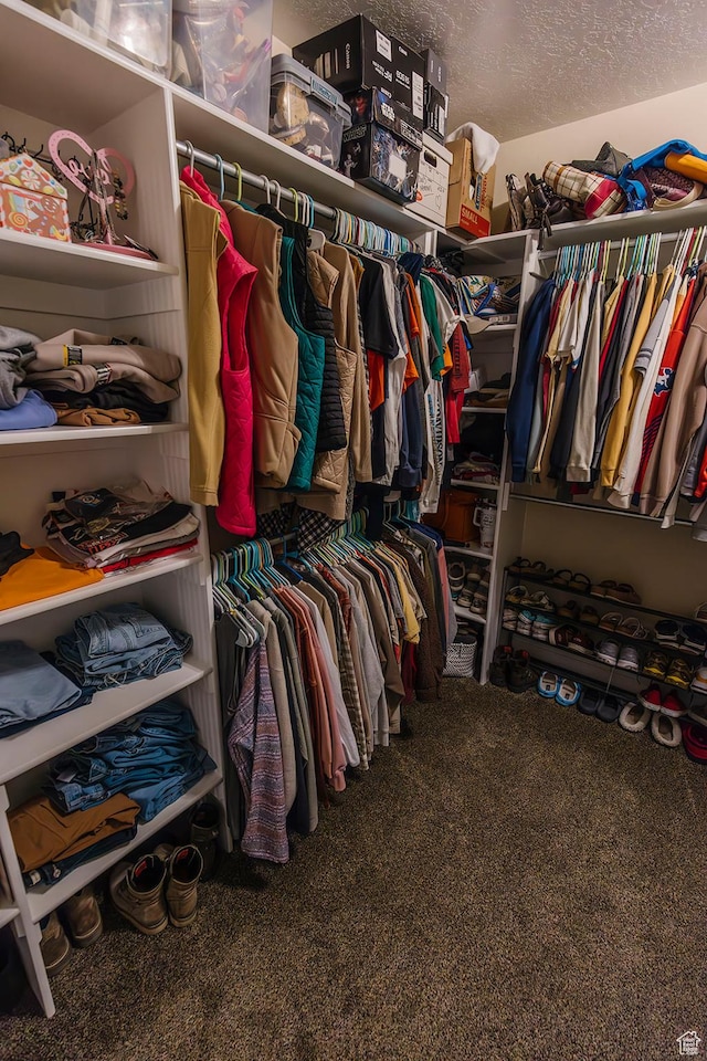 743 N 1100 E, Nephi, UT 84648 - walk in closet with carpet