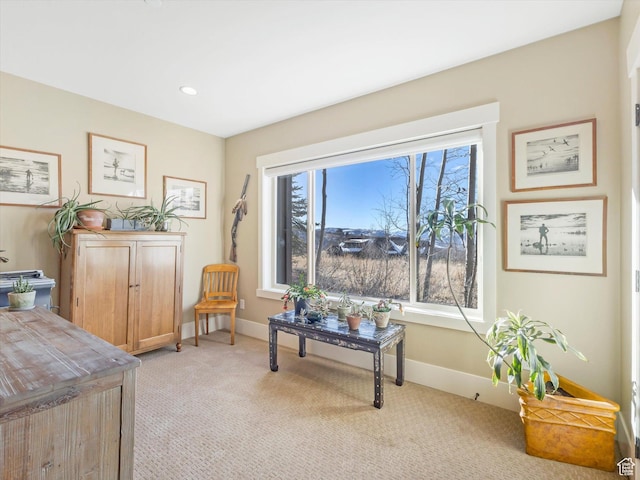 1628 E Viewside Cir, Hideout, UT 84036 - sitting room with light colored carpet