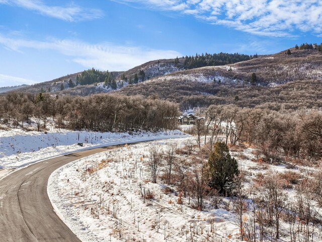 1169 N Valley View Dr Unit 49, Eden, UT 84310 - photo 5