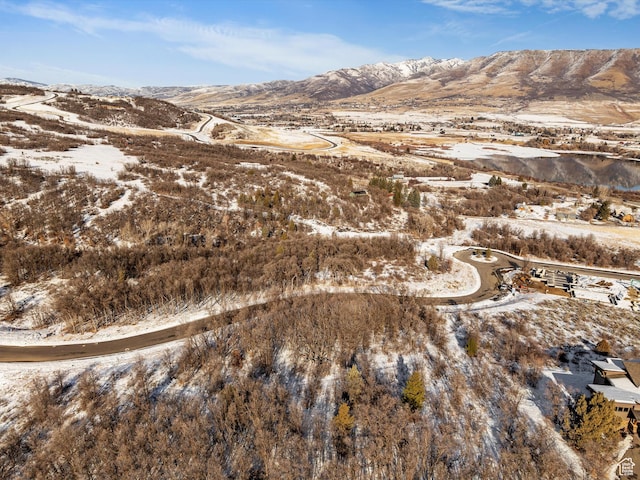 1169 N Valley View Dr Unit 49, Eden, UT 84310 - photo 7