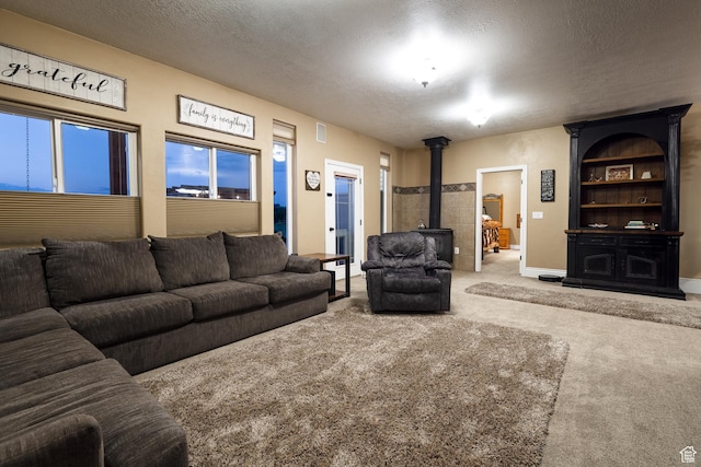 2690 W 500 N, Vernal, UT 84078 - living room featuring carpet, built in shelves, a wood stove, and a textured ceiling