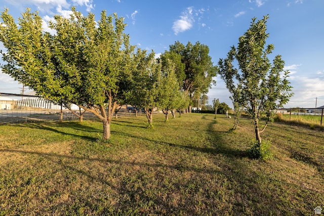 2690 W 500 N, Vernal, UT 84078 - view of yard