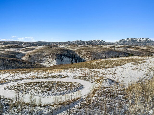9482 E Forest Creek Rd, Heber City, UT 84032 - photo 39
