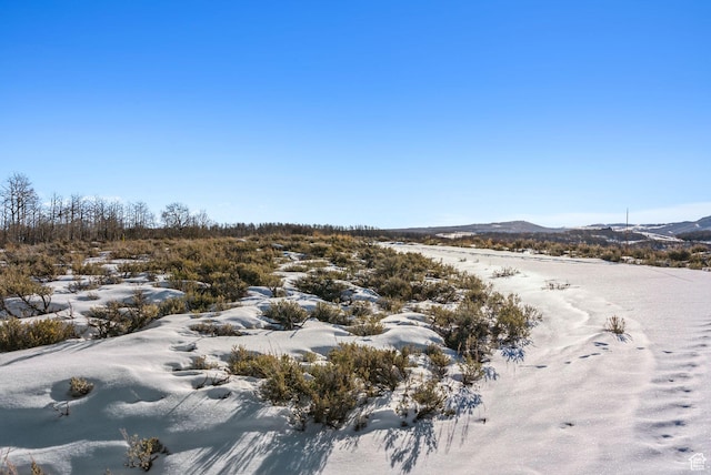 9482 E Forest Creek Rd, Heber City, UT 84032 - photo 56