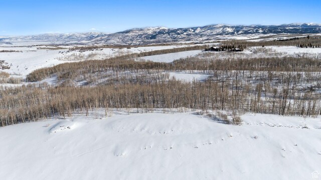 9482 E Forest Creek Rd, Heber City, UT 84032 - photo 10