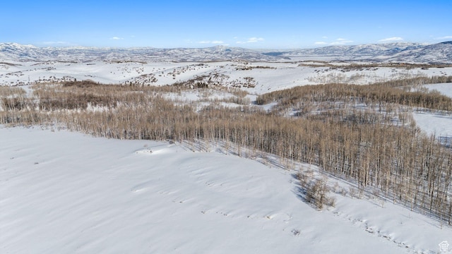 9482 E Forest Creek Rd, Heber City, UT 84032 - photo 9