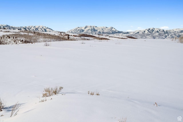 9482 E Forest Creek Rd, Heber City, UT 84032 - photo 19