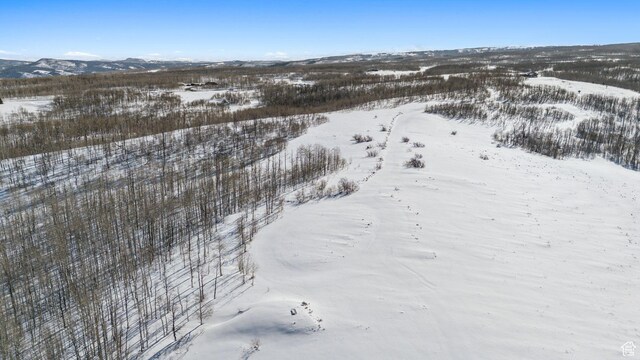 9482 E Forest Creek Rd, Heber City, UT 84032 - photo 12