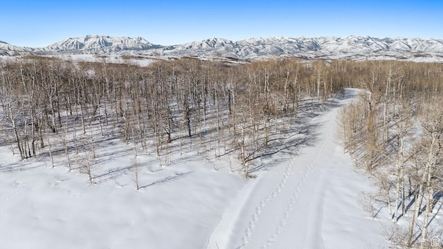 9482 E Forest Creek Rd, Heber City, UT 84032 - photo 15