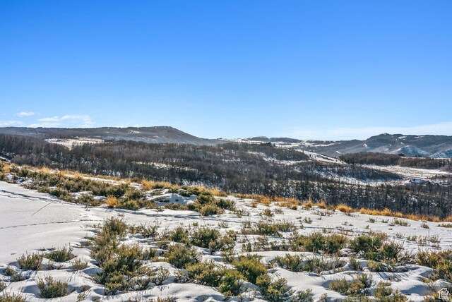 9482 E Forest Creek Rd, Heber City, UT 84032 - photo 49