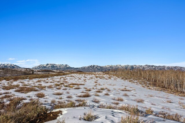 9482 E Forest Creek Rd, Heber City, UT 84032 - photo 46