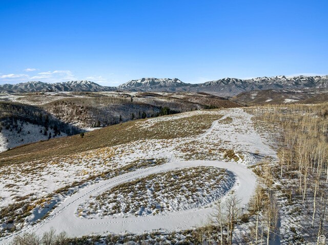 9482 E Forest Creek Rd, Heber City, UT 84032 - photo 38