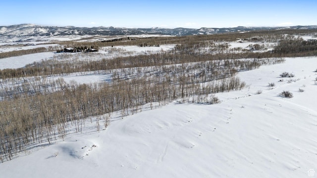 9482 E Forest Creek Rd, Heber City, UT 84032 - photo 11