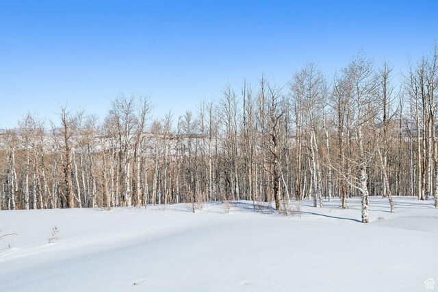 9482 E Forest Creek Rd, Heber City, UT 84032 - photo 20