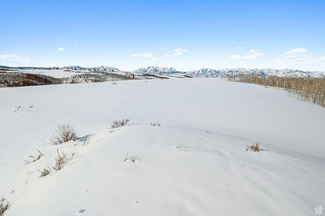 9482 E Forest Creek Rd, Heber City, UT 84032 - photo 16