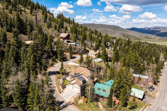 255 Paradise Rd, Park City, UT 84098 - photo 61
