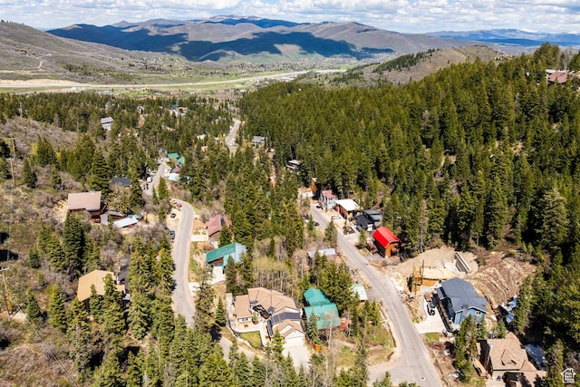 255 Paradise Rd, Park City, UT 84098 - photo 36