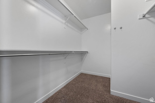 248 W Quartz Rd, Tooele, UT 84074 - walk in closet with dark carpet