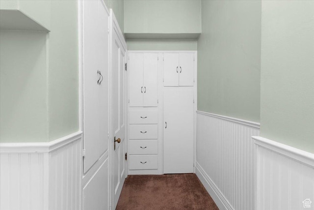 walk in closet with carpet floors