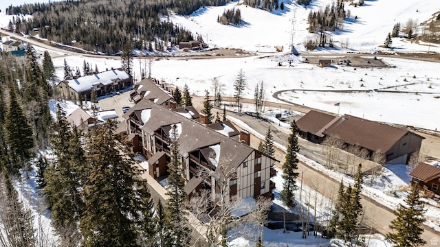 561 S Vasels Rd Unit R16-C, Brian Head, UT 84719 - view of snowy aerial view