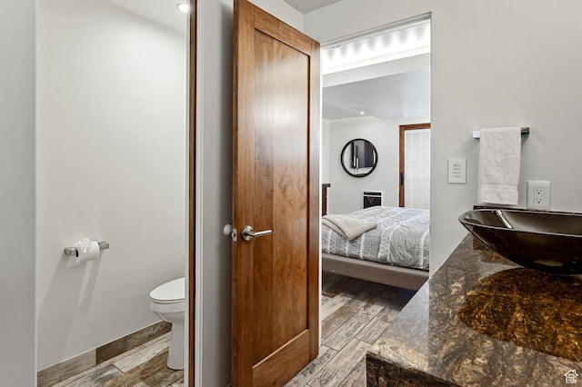 561 S Vasels Rd Unit R16-C, Brian Head, UT 84719 - ensuite bathroom featuring toilet, a sink, connected bathroom, and wood finished floors