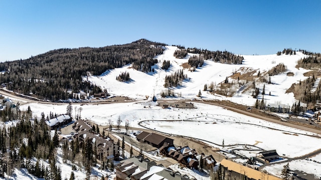 561 S Vasels Rd Unit R16-C, Brian Head, UT 84719 - mountain view