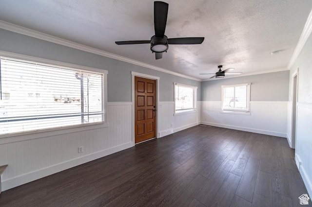 interior space featuring a textured ceiling, dark hardwood / wood-style floors, ceiling fan, and ornamental molding