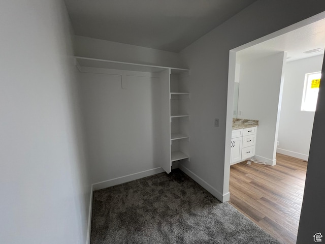 1241 N 3500 E, Ballard, UT 84066 - spacious closet with light wood-style flooring