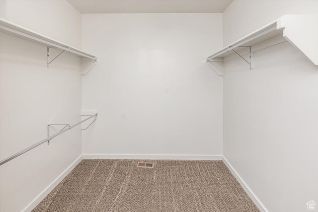 spacious closet featuring carpet