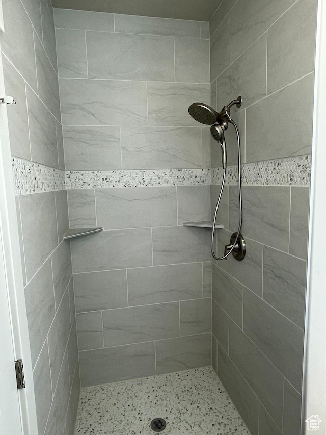 236 S 1100 E, Smithfield, UT 84335 - bathroom featuring a tile shower