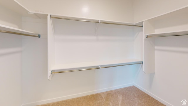 633 W Junegrass Ln, Stansbury Park, UT 84074 - walk in closet with carpet