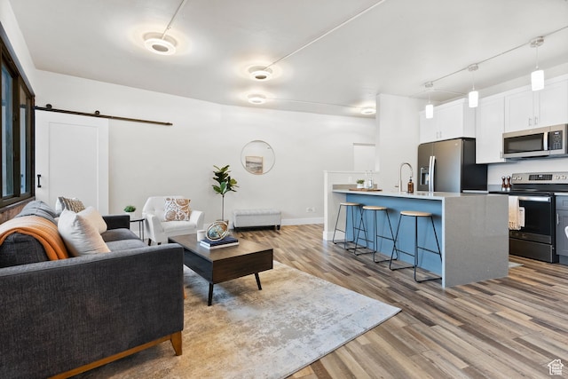 living room with a barn door, sink, and light hardwood / wood-style flooring
