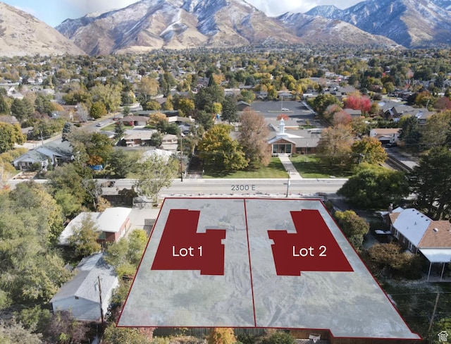 birds eye view of property featuring a mountain view
