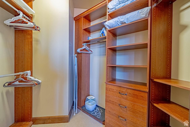 4129 Fairway Ln Unit A-3, Park City, UT 84098 - spacious closet featuring light carpet