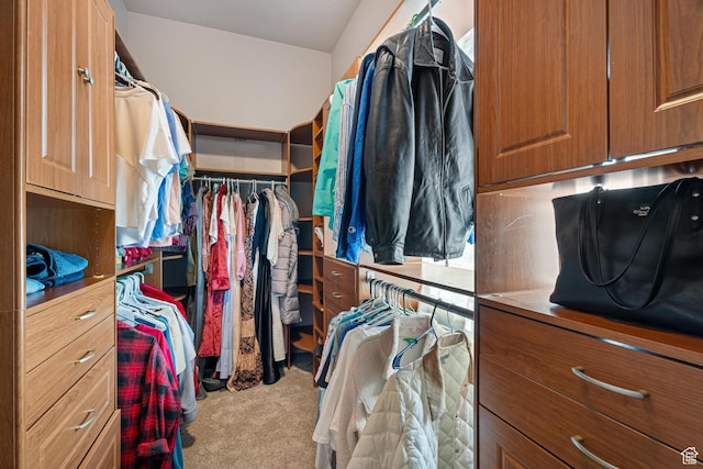 2371 E 2830 S, St George, UT 84790 - walk in closet with light carpet