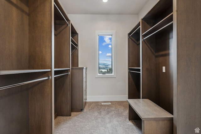3097 E Corral Peak Cir Unit 145, Heber City, UT 84032 - walk in closet featuring light carpet