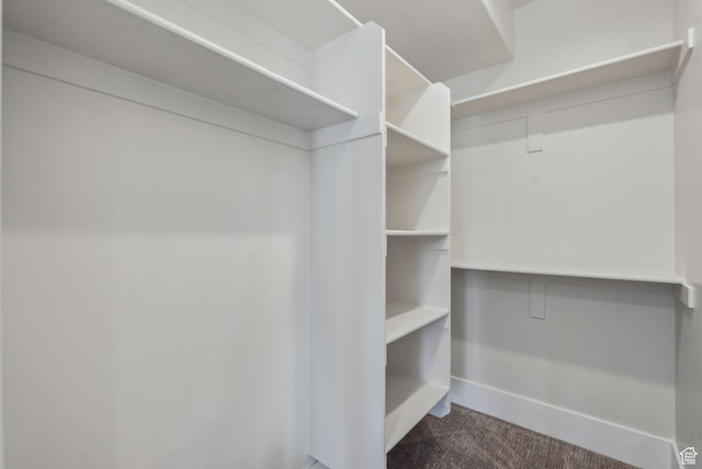 3097 E Corral Peak Cir Unit 145, Heber City, UT 84032 - spacious closet with dark carpet