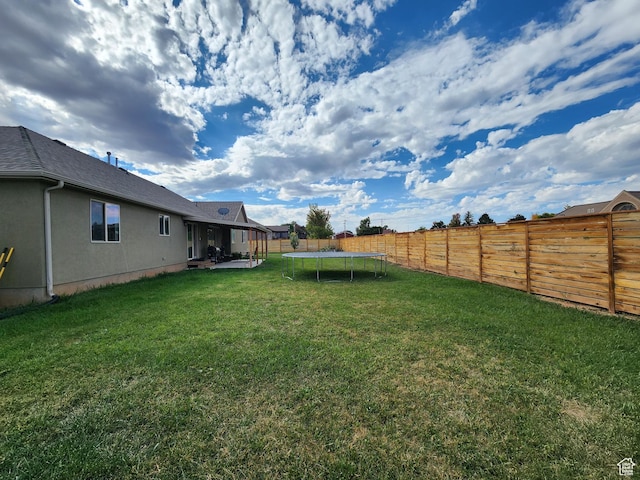 view of yard featuring a patio area and a trampoline