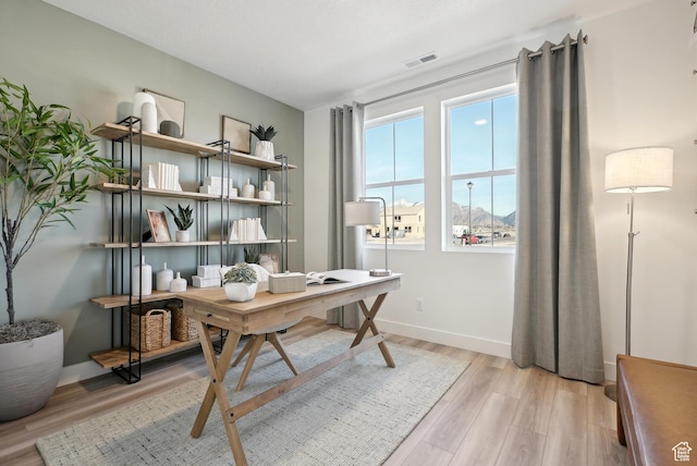 office space featuring visible vents, baseboards, and light wood-style floors