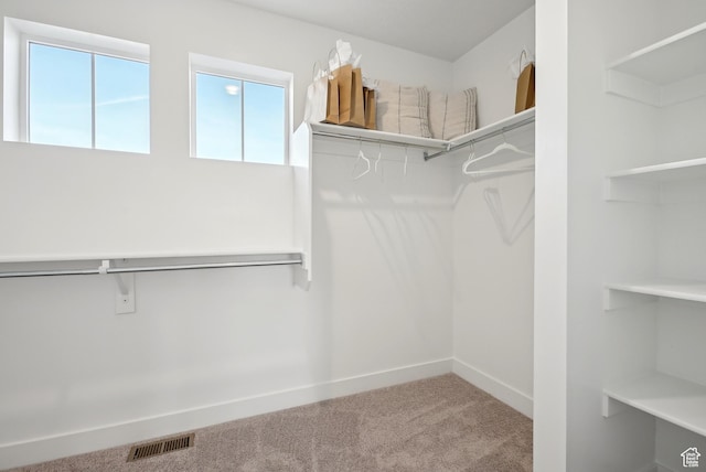 walk in closet featuring visible vents and carpet floors