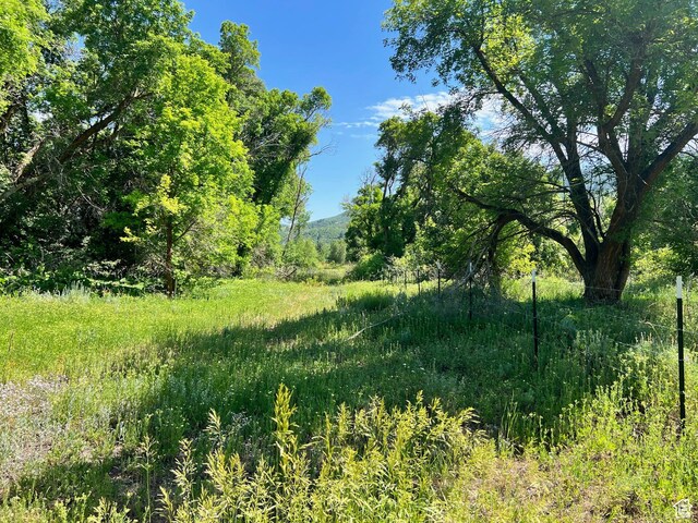 4670 E 2650th Ln N, Eden, UT 84310 - photo 2
