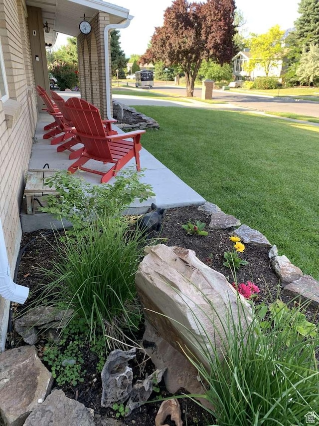 view of yard