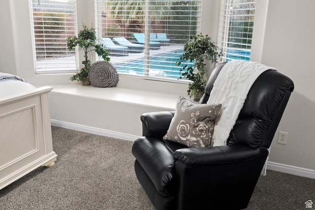 2468 S Dorothy St, Hurricane, UT 84737 - living area with carpet floors and a wealth of natural light