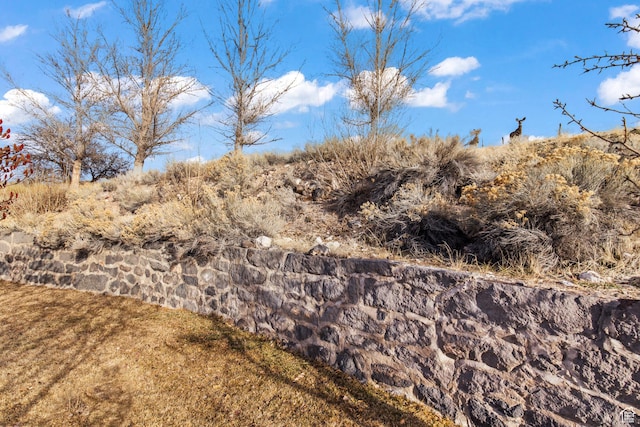 110 N 400 E, Glenwood, UT 84730 - view of nature