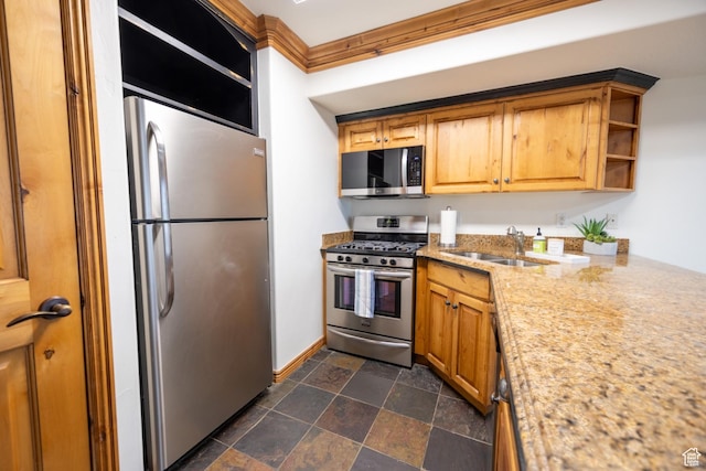 5063 E Lakeview Dr Unit 1009, Eden, UT 84310 - kitchen with light stone countertops, sink, ornamental molding, and stainless steel appliances