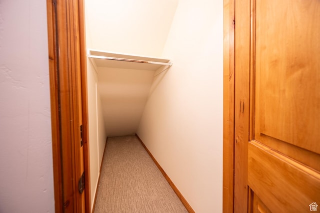 5063 E Lakeview Dr Unit 1009, Eden, UT 84310 - walk in closet with light colored carpet