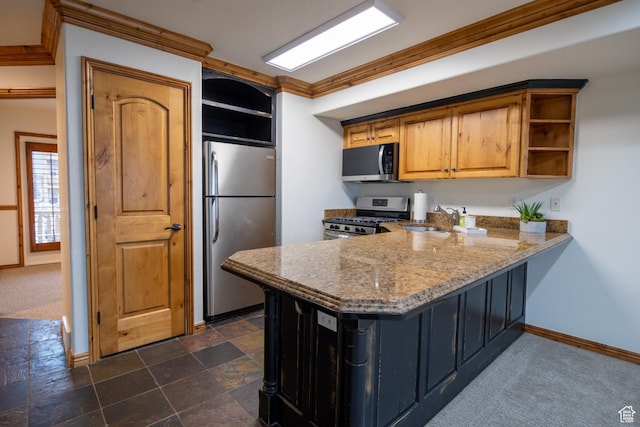 5063 E Lakeview Dr Unit 1009, Eden, UT 84310 - kitchen with dark colored carpet, sink, light stone countertops, ornamental molding, and appliances with stainless steel finishes