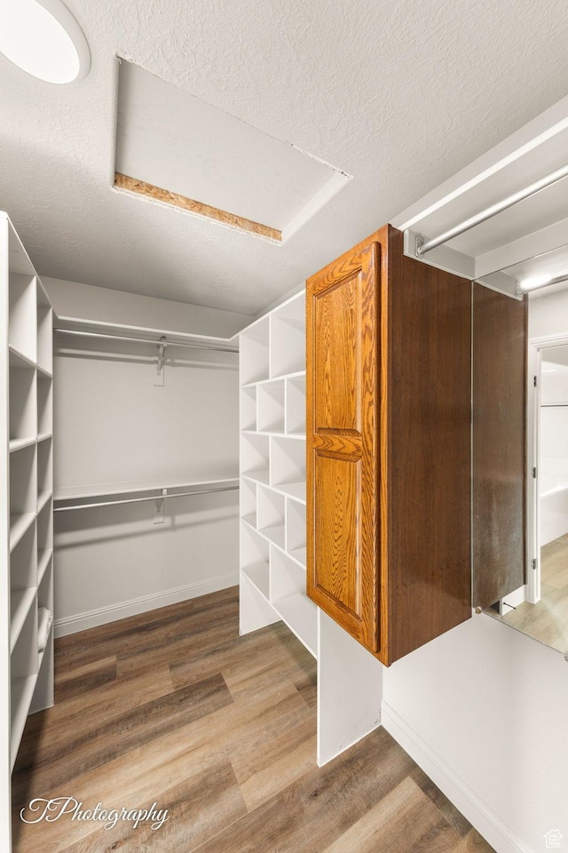 spacious closet with hardwood / wood-style flooring