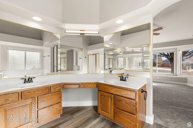 bathroom with ceiling fan, hardwood / wood-style floors, and vanity